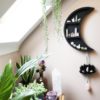 Large Moon and Lotus Hanging Shelf 1
