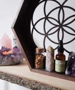 Seed Of Life Hexagon Crystal Shelf 1